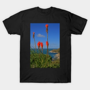 North Devon Coast T-Shirt